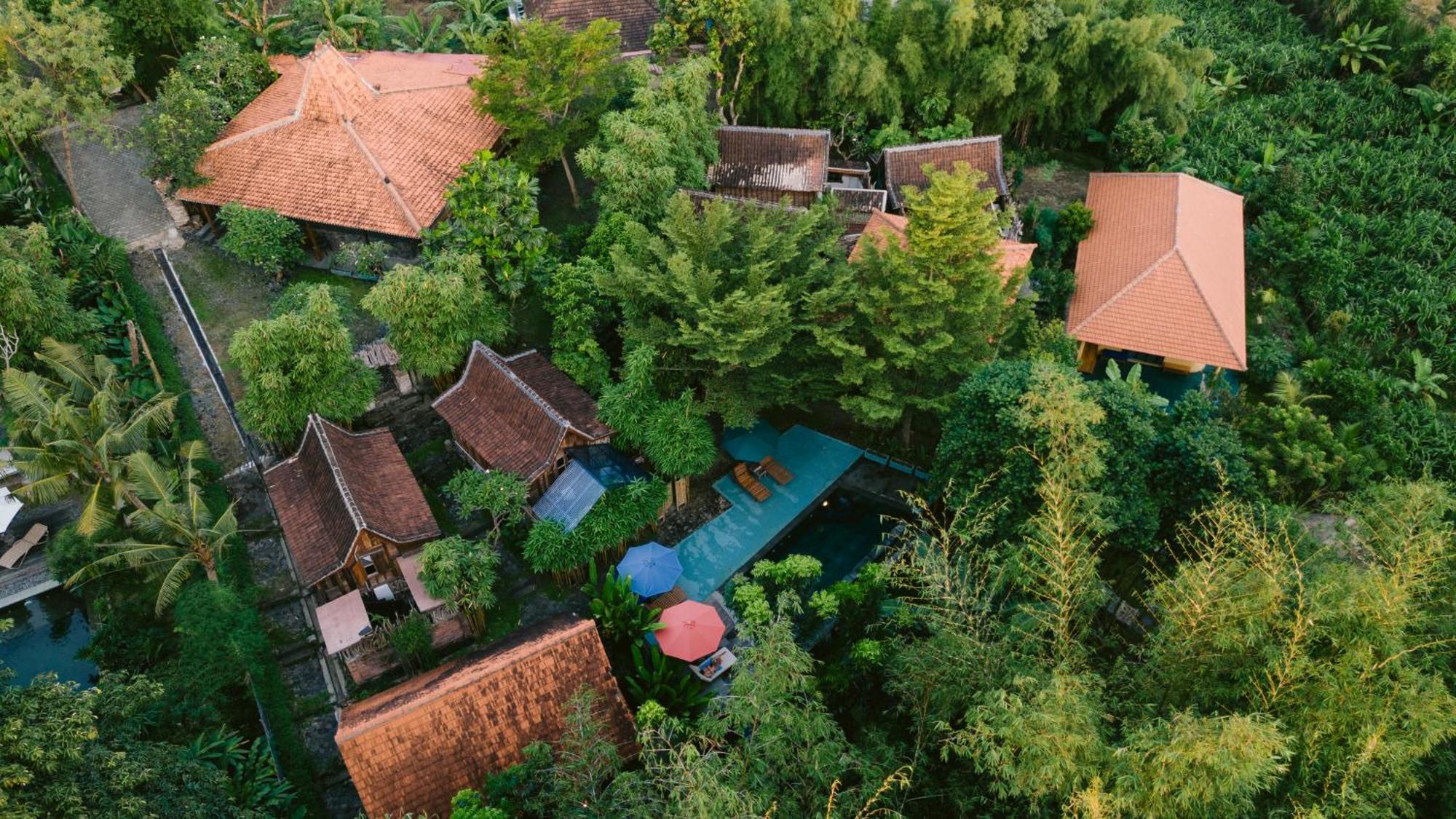 Bed and Breakfast Ubuntu Eco Yoga Retreat Canggu Exterior foto